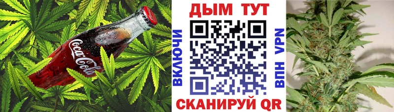 Купить где  Сафоново  Canna-Cookies конопля 