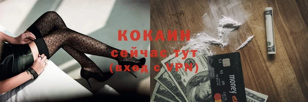 индика Волосово