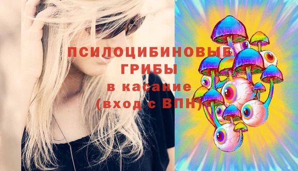 apvp Володарск