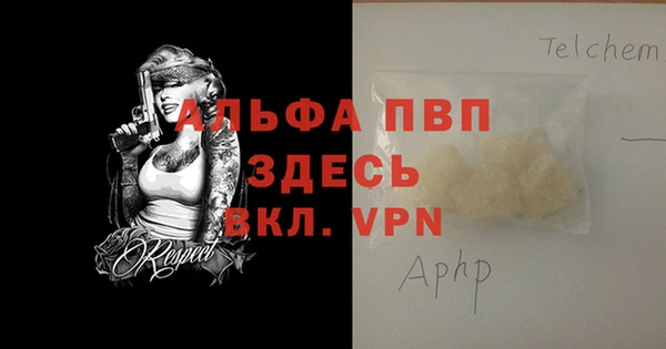 индика Волосово