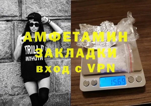 индика Волосово