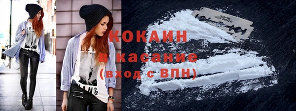 индика Волосово