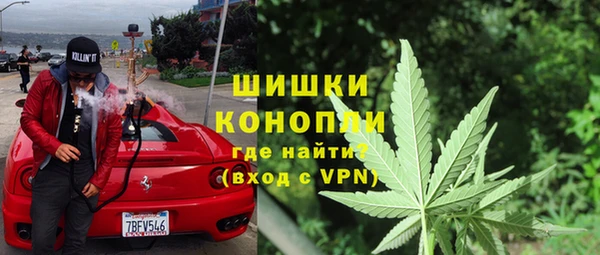 индика Волосово