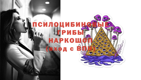 apvp Володарск
